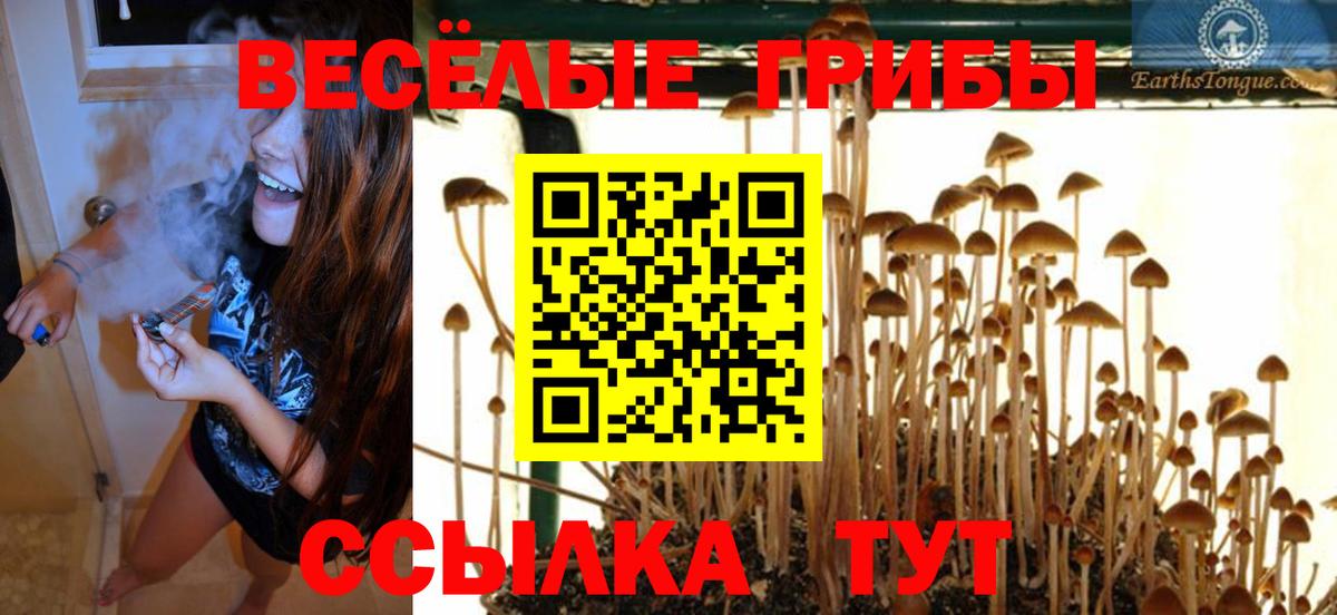 Галлюциногенные грибы Cubensis Новоалтайск